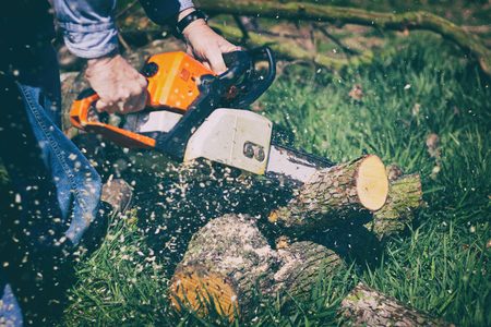 Man cutting a firewood by a chainsaw, cut a tree with chainsaw in the gardenの写真素材