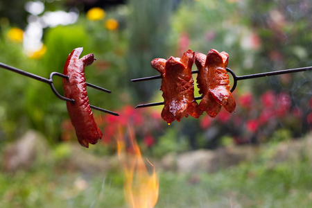 Grilling sausages over a campfire, campers roasting sausages on toasting forks.の写真素材