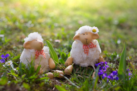 Easter lambs sitting in the grass, happy sheep toy looking for Easter. の写真素材