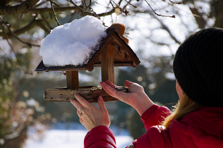 Woman is putting a feeding into the bird feeder. Feeding for birds in winter season. Bird feeder in garden. の写真素材