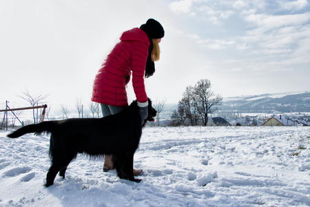 woman on a walk with her black dog, training a dog command stay in a winter landscape, bright skyの写真素材