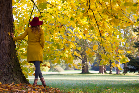 Beautiful young woman wearing yellow coat is leaning on tree in park. Autumnal season. Fashion concept.の写真素材
