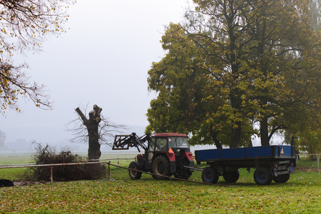 Tractor with trailer loads the branches in a foggy wound, tractor working in countryside, agriculture machinery の写真素材
