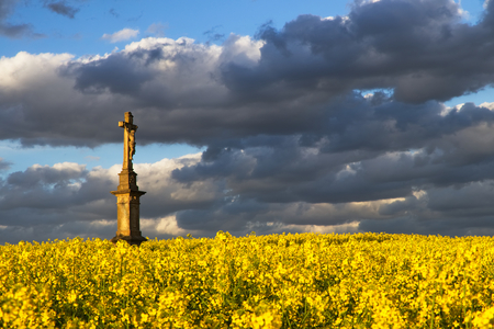 Crucifix in blooming rapeseed field, dramatic cloudy sky. Monument of Jesus Christ in rural sceneryの写真素材