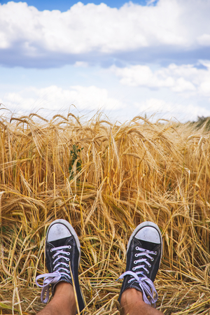 Happy summer. Man wearing black and white sneakers and laying in golden barley field. Man with canvas shoes relax in nature.の写真素材