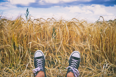 Happy summer. Man wearing black and white sneakers and laying in golden barley field. Man with canvas shoes relax in nature.の写真素材