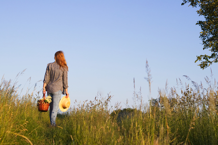 Woman with straw hat is holding wicker basket and standing in meadow. Harvesting flowers for alternative medicine.の写真素材