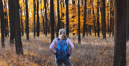 Woman hiking in forest at autumn season. Traveler with backpack in woodland. Panoramic pictureの写真素材