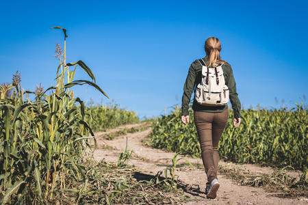 Woman with backpack hiking in countryside. Tourist on a field road between corn fields.の写真素材