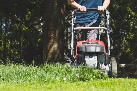 Mowing the grass with a lawn mower in garden at springtime. Cutting lawn at sunny day.の写真素材