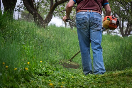 Man mowing grass by brushcutter in garden at springtime. Farmer cutting grass by lawn mower.