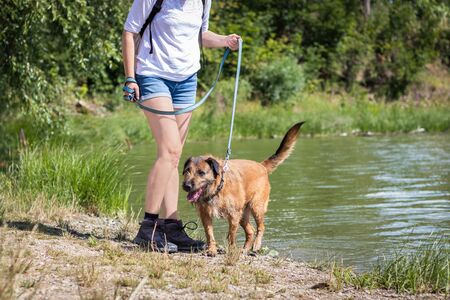 Pet owner with her dog enjoying water from lake. Woman and mixed breed dog on pet leash.の写真素材