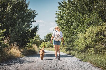Woman and dog walking together on dirt road. Tourist with backpack enjoying walk with her animal best friendの写真素材