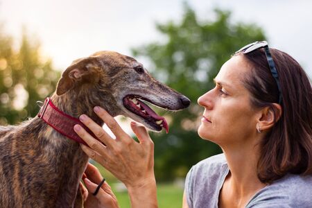 Woman love her pet. Dog the best friend of people. Spanish greyhoundの写真素材
