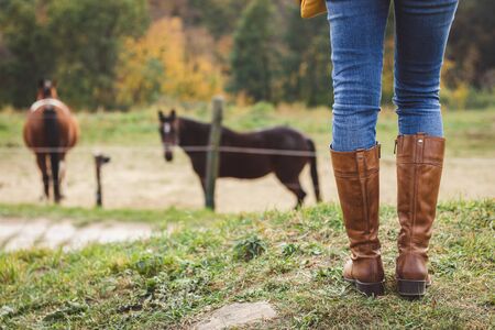 Ready for riding horse at paddock. Woman wearing riding boot and jeans is standing at ranch. Leisure...
