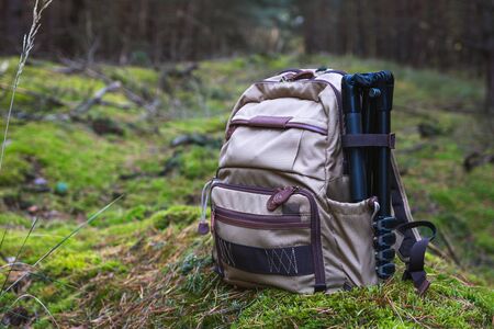 Backpack and tripod in forest. Photographic equipment in nature. Beige canvas rucksack in woodlandの写真素材