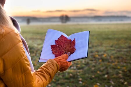 Autumn is writing a diary. Woman holding red leaf at open note pad. Sunrise over fog landscape at cold morning. Autumn conceptの写真素材