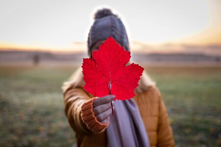 Woman holding red leaf before her face. Autumn misty morning in nature. Woman wearing warm clothing at cold weather outdoorsの写真素材