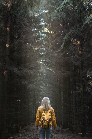 Woman tourist standing in dark forest with courage, sunbeam on hiker in mystery woodland. Traveler in natureの写真素材