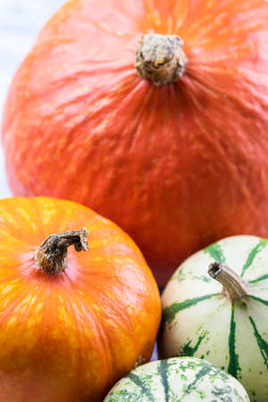 Close-up colorful pumpkins. Ripe harvested healthy foodの写真素材