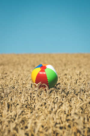 Beach ball in wheat field. Summer vacation at countryside. Concept of impossible travel for holiday because closed borders of countries during coronavirus covid-19 pandemicの写真素材