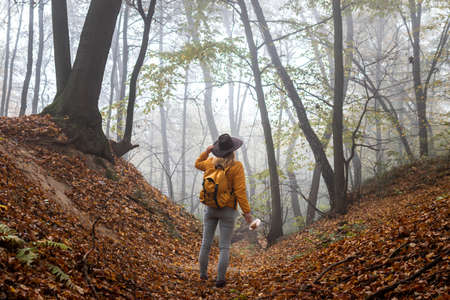 Hiker with backpack standing in fog at forest. Woman hiking in autumn misty woodland. Exploration of natureの写真素材