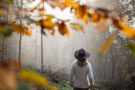 Moody atmosphere in autumn forest. Woman wearing knitted sweater and hat standing in fog at woodland. Enjoyment of natureの写真素材