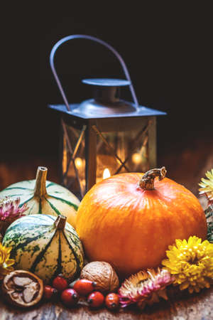 Autumn harvest festival, Thanksgiving day or Halloween background. Fall season still life concept....