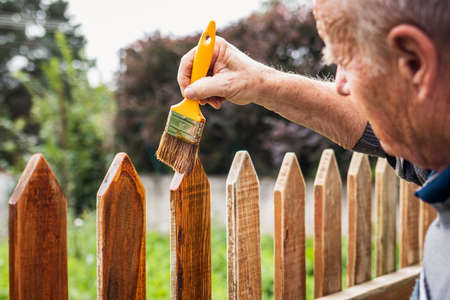Painting wooden picket fence by wood stain. Active senior man repairing old fence at backyardの写真素材