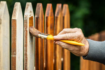 Painting wooden fence by wood stain. Paintbrush in male hand. Repairing old picket fence at backyardの写真素材