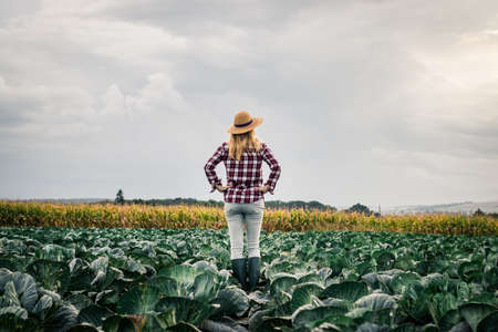 Proud woman farmer looking at her organic farm with growing cabbage at field. Agronomist inspecting vegetable before harvestingの写真素材