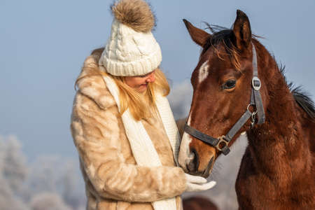 Woman with young horse at winter. Friendship between people and animal. Caucasian woman wearing warm clothing, fur coat and knit hat with pom-pomの写真素材