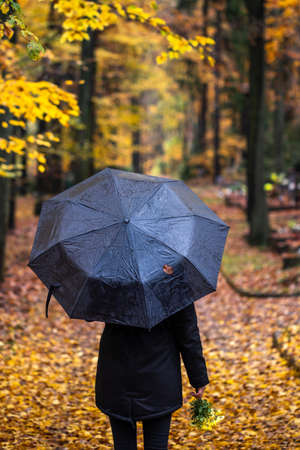 Woman with umbrella walking in cemetery at autumn. Mourner in black in graveyardの写真素材