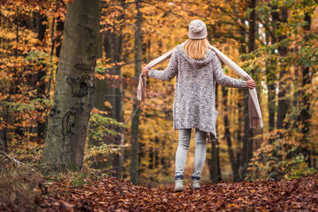 Woman wearing wool sweater with hood, knit hat and long scarf in autumn forest. Enjoyment of walk outdoors at fall season. Fashion and lifestyle conceptの写真素材