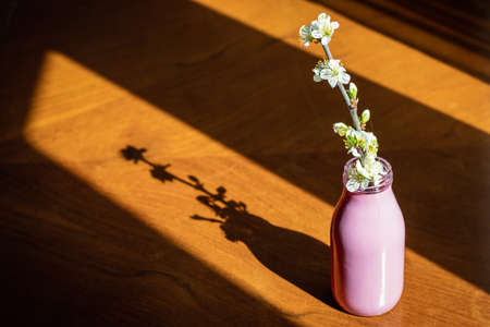 Spring flower decoration on a wooden table. Blooming branch in small purple vase. Sunlight and shadowsの写真素材