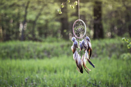 Dreamcatcher is hanging in forest. American native indigenous ritual amuletの写真素材