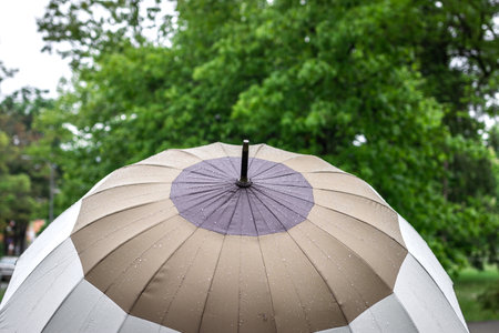 Umbrella with raindrops and green leaves in rain. Spring rainy weatherの写真素材