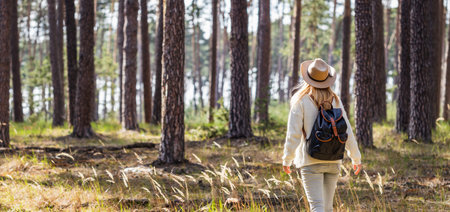 Woman with hat and backpack hiking in woodland. Adventure in nature. Panoramic view at female tourist walking in forest aloneの写真素材