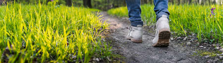 Hiking on footpath in forest. Panoramic view of hiker legs walking at woodland. Rear view of hiking bootsの写真素材