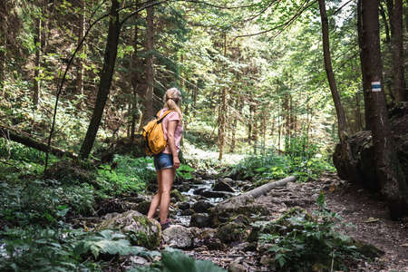 Tourist hiking in mountain trail. Woman with backpack is walking at stream in forest. Summer...