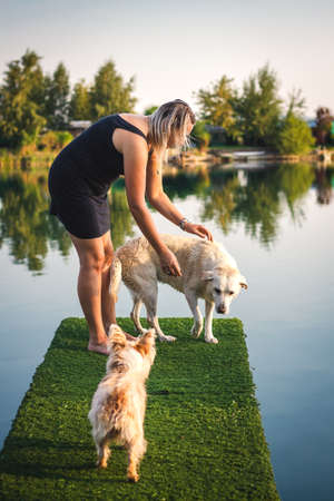 Woman playing with her dogs on pier at lake in hot summer day. Labrador retriever and cairn terrier with pet owner have fun together outdoorsの写真素材