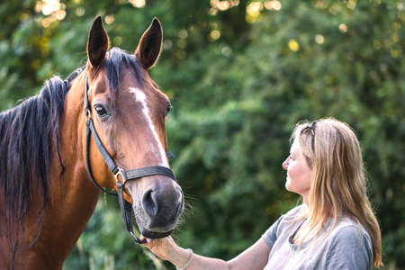 Woman with her horse on pasture. Friendship between people and animal. Brown thoroughbred horse outdoorsの写真素材