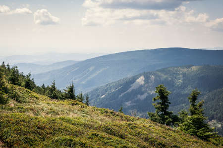 View at mountain range from Red hill at summer day. Nature in Jeseniky mountains, Czech Republicの写真素材