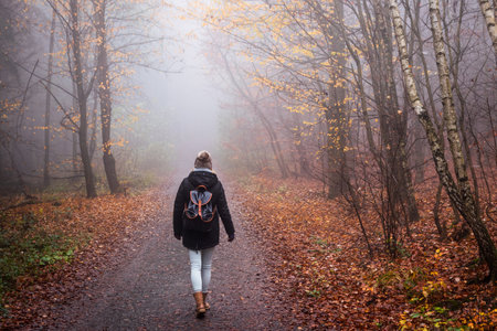 Woman walking in fog at autumn morning. Tourist hiking in forest. Adventure and active lifestyle in natureの写真素材