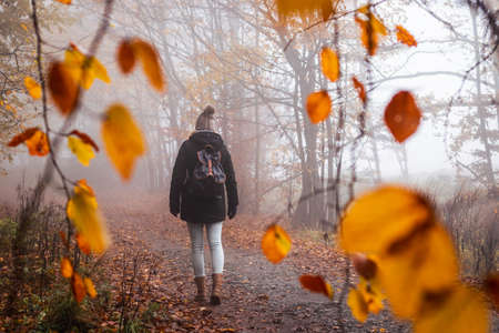 Woman walking in fog at autumn morning. Tourist hiking in forest. Adventure and active lifestyle in natureの写真素材