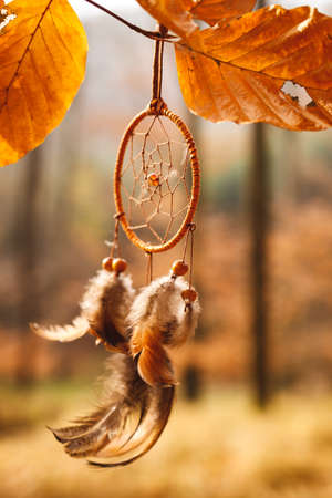 Dreamcatcher hanging on branch in autumn forest. Spirituality amulet and good dreaming symbolの写真素材