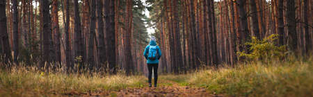 Hiking in the forest. Panoramic view at woman walking on footpath in pine woodland. Adventure in nature. Only hikerの写真素材