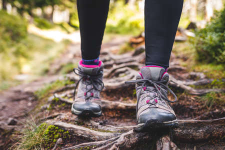 Hiking boot on footpath. Female tourist legs walking in forest at springの写真素材