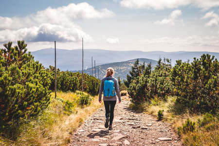 Solo hiker walking on trekking trail in mountain. Woman with backpack hiking in natural parkland Jeseniky, Czech Republic. Sports active lifestyleの写真素材