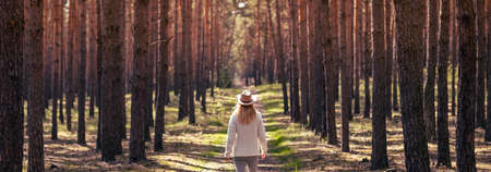 Woman with cowboy hat hiking on footpath in forest. Panoramic view of pine woodland. Enjoyment of hike in natureの写真素材